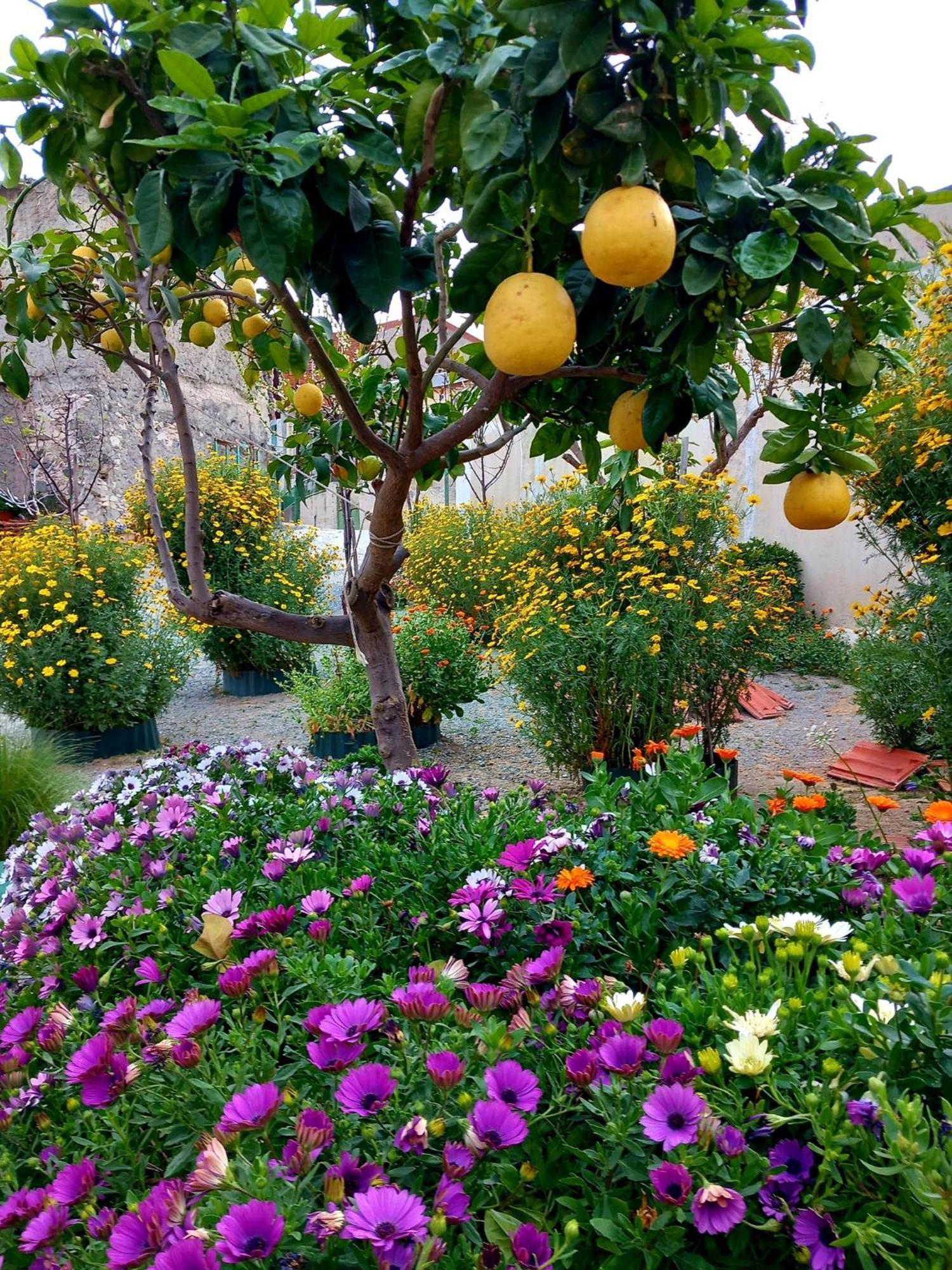 4 Seasons Suites Paradise Near Athens Airport Markópoulon Екстериор снимка