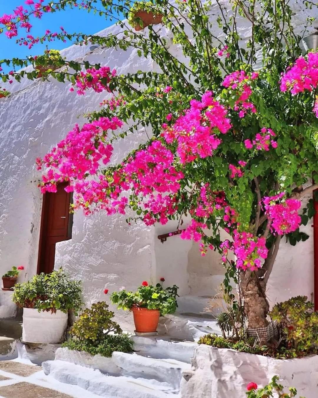 4 Seasons Suites Paradise Near Athens Airport Markópoulon Екстериор снимка